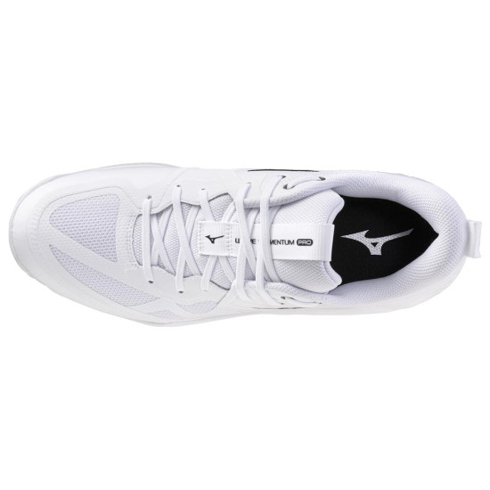 Mizuno Wave Momentum Pro